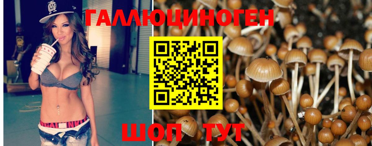 Галлюциногенные грибы Cubensis  Вход с VPN  Галлюциногенные грибы Magic Shrooms  Гулькевичи 